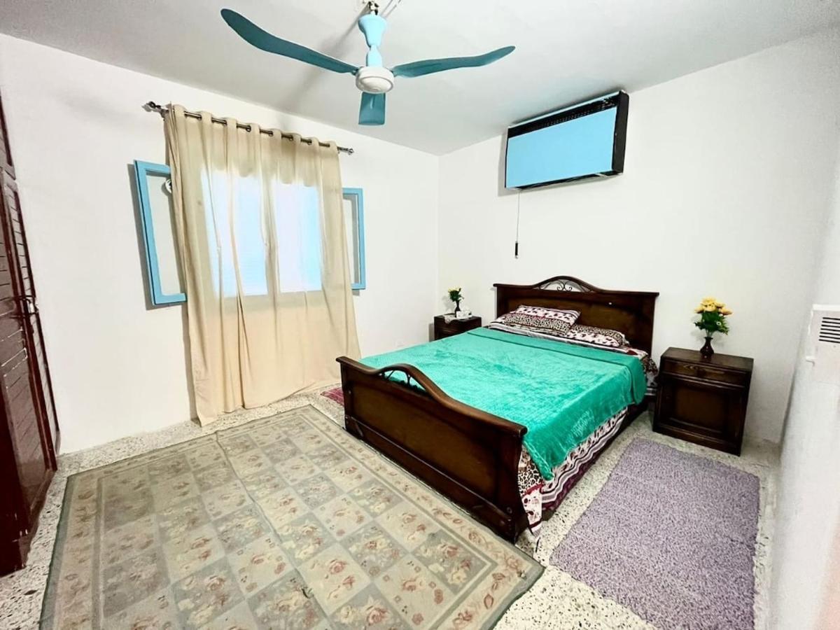 Luxury Cozy Alexandria