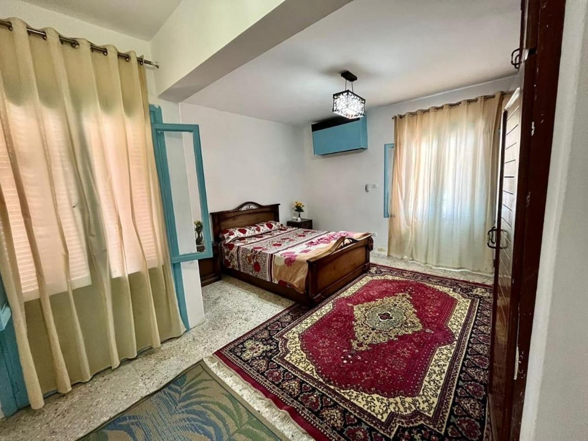 Luxury Cozy Alexandria